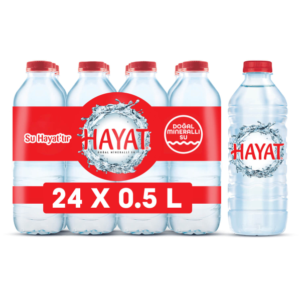 Hayat Su 24/0,5l günstig kaufen | MULTI Grosshandel