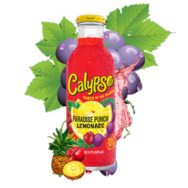 Calypso Paradise Punch Lemonade günstig kaufen | MULTI Grosshandel