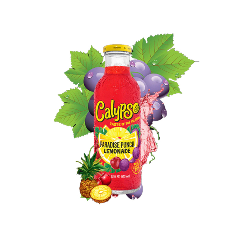 Calypso Paradise Punch Lemonade günstig kaufen | MULTI Grosshandel